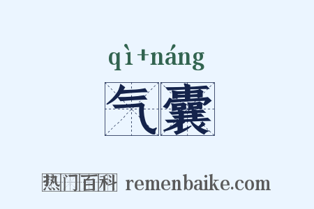 气囊是什么意思的图片